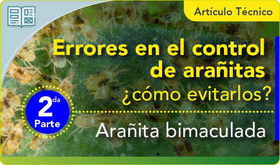 Errores en el control de arañitas | Parte 2: arañita bimaculada