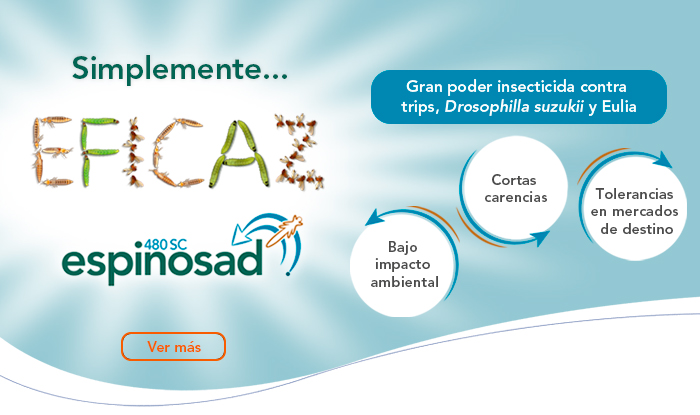 Espinosad 480 SC