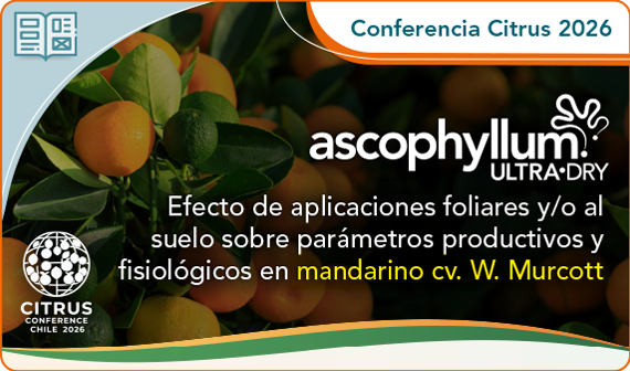 Efecto de Ascophyllum Ultra Dry en mandarinos